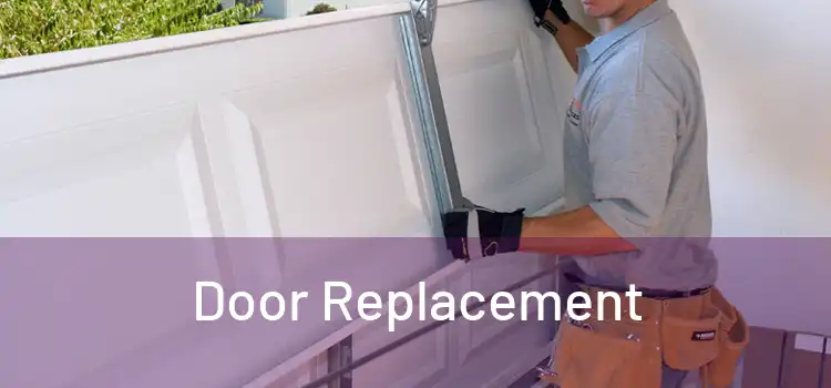  Door Replacement 