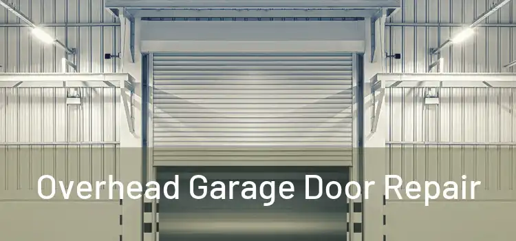  Overhead Garage Door Repair 